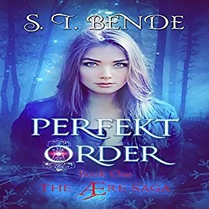 Perfekt Order By S.T. Bende AudioBook Free Download