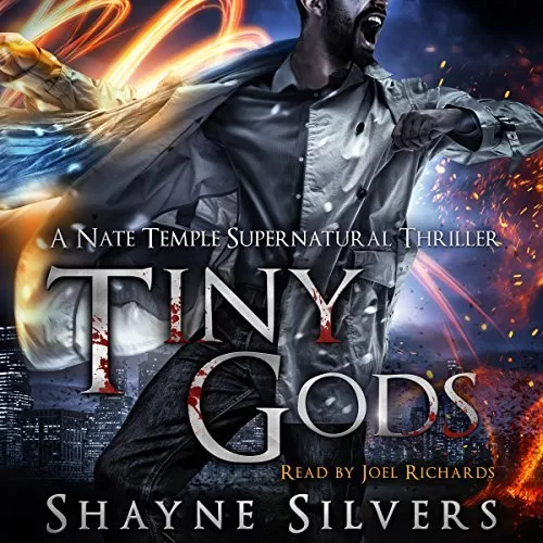 Tiny Gods By Shayne Silvers