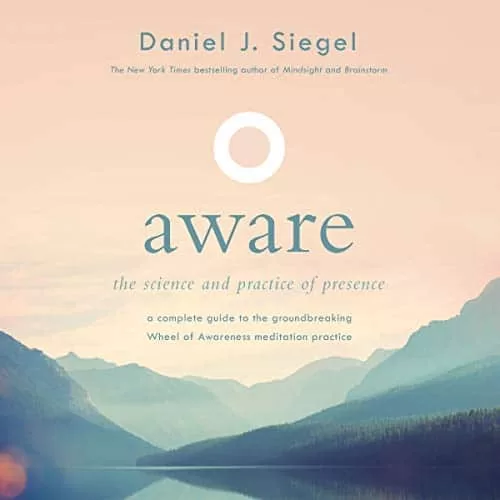 Aware By Daniel J Siegel