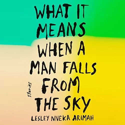 What It Means When a Man Falls from the Sky By Lesley Nneka Arimah