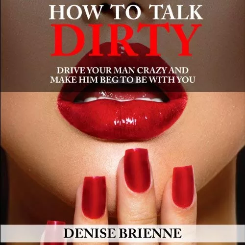 How to Talk Dirty By Denise Brienne