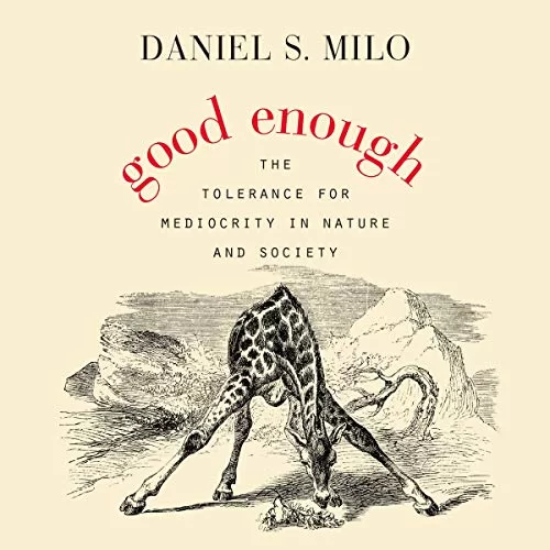 Good Enough By Daniel S. Milo