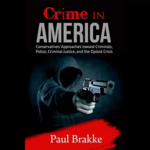 Crime in America By Paul Brakke