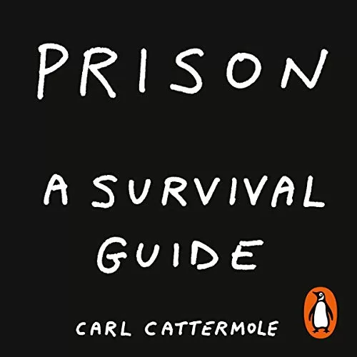 Prison By Carl Cattermole