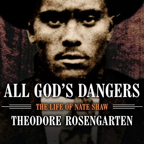 All God's Dangers By Theodore Rosengarten