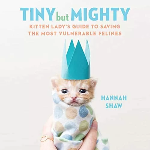 Tiny but Mighty By Hannah Shaw