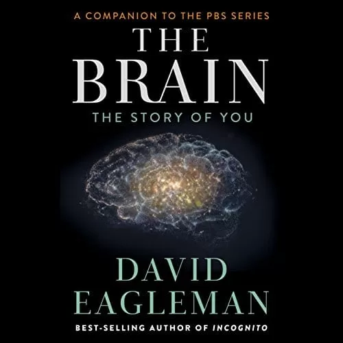 The Brain By David Eagleman