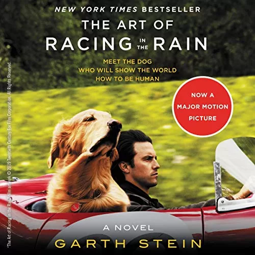 The Art of Racing in the Rain By Garth Stein