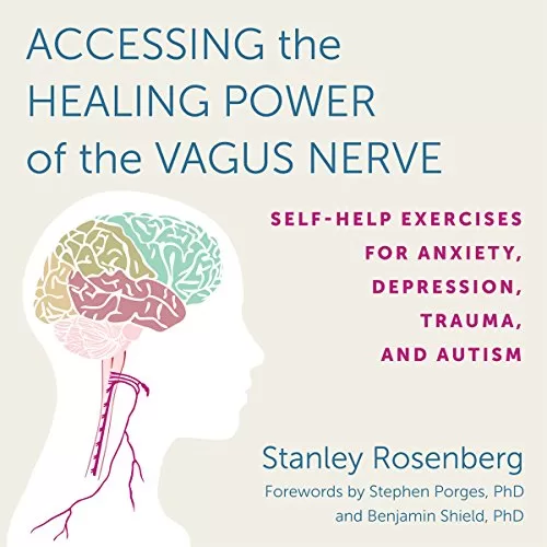 Accessing the Healing Power of the Vagus Nerve By Stanley Rosenberg