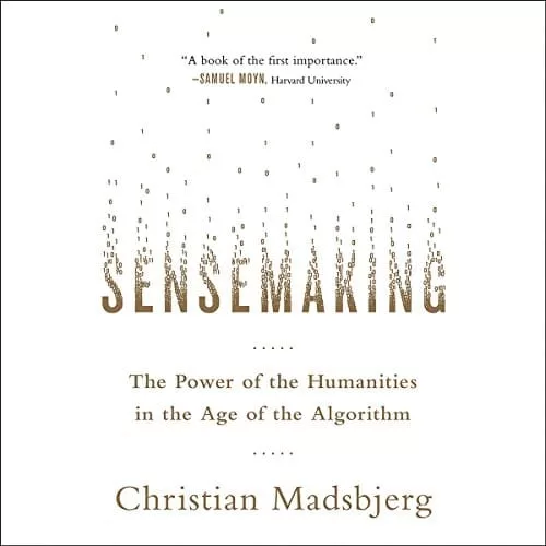 Sensemaking By Christian Madsbjerg