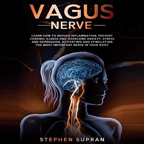 Vagus Nerve By Stephen Supran