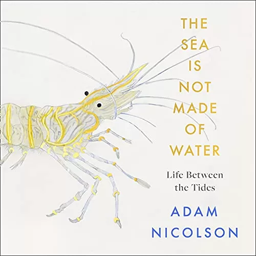 The Sea is Not Made of Water By Adam Nicolson