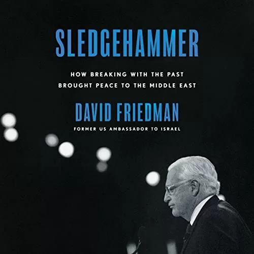 Sledgehammer By David Friedman