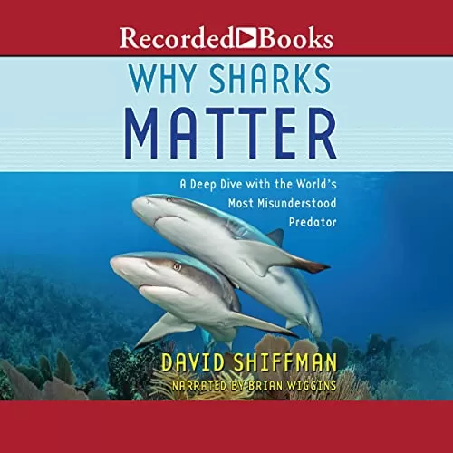 Why Sharks Matter By David Shiffman