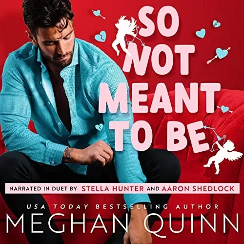 So Not Meant to Be By Meghan Quinn