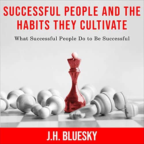 Successful People and the Habits They Cultivate By J.H. Bluesky