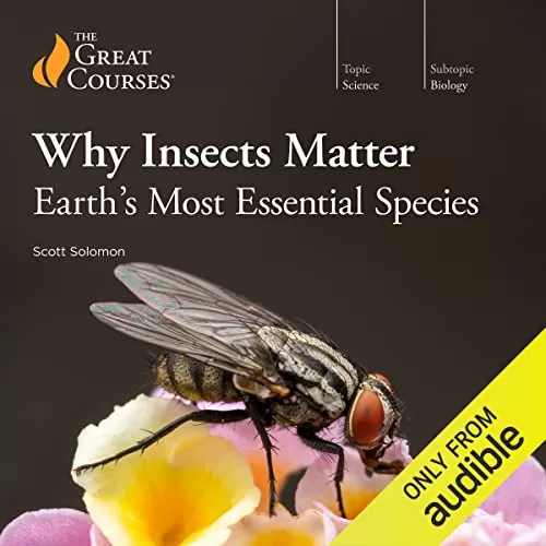 Why Insects Matter By Scott Solomon, The Great Courses