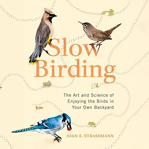 Slow Birding By Joan E. Strassmann