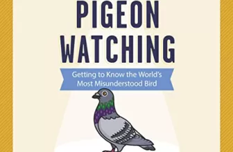 A Pocket Guide to Pigeon Watching By Rosemary Mosco