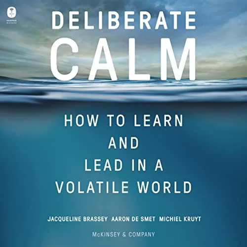 Deliberate Calm By Jacqueline Brassey, Aaron De Smet, Michiel Kruyt