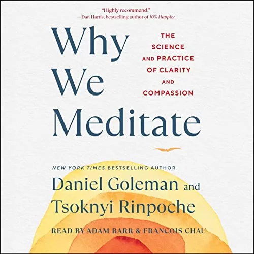 Why We Meditate By Daniel Goleman, Tsoknyi Rinpoche