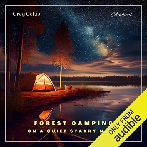 Forest Camping on a Quiet Starry Night By Greg Cetus