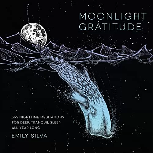 Moonlight Gratitude By Emily Silva