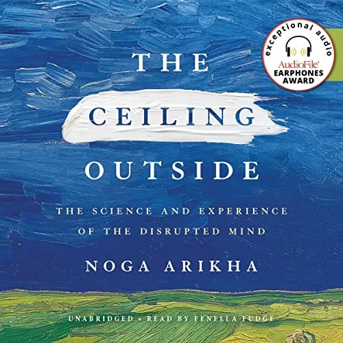 The Ceiling Outside By Noga Arikha