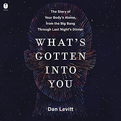 What's Gotten into You By Dan Levitt