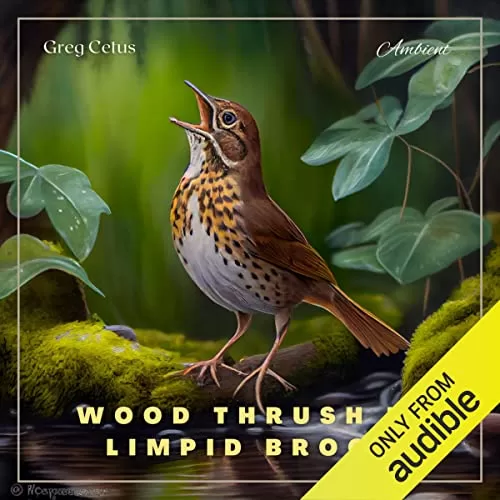 Wood Thrush in Limpid Brook By Greg Cetus