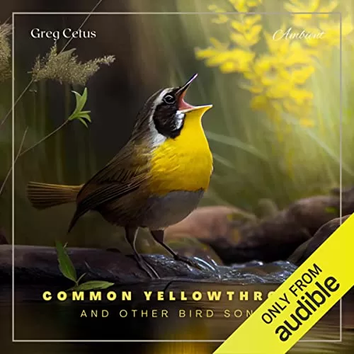 Common Yellowthroat and Other Bird Songs By Greg Cetus