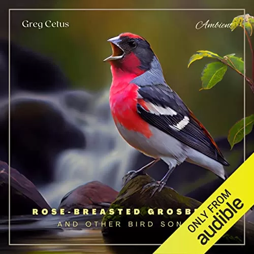 Rose-Breasted Grosbeak and Other Bird Songs By Greg Cetus