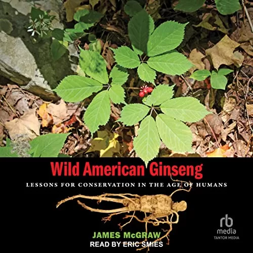 Wild American Ginseng By James McGraw
