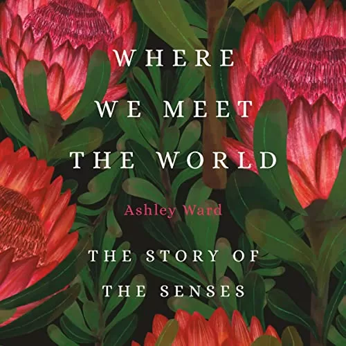 Where We Meet the World By Ashley Ward