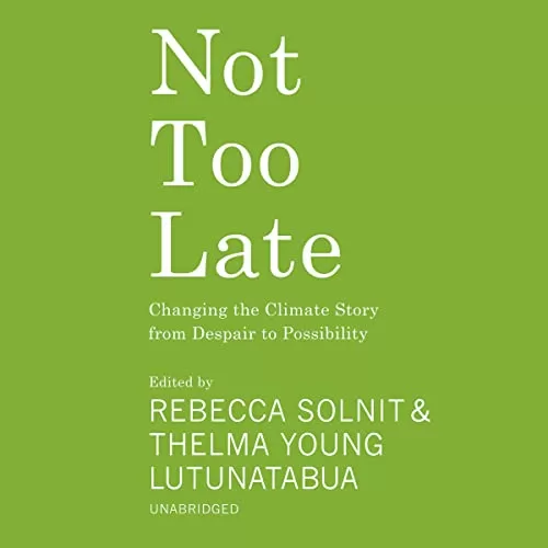 Not Too Late By Rebecca Solnit