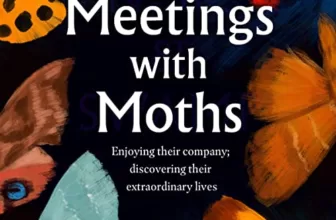 Meetings with Moths By Katty Baird