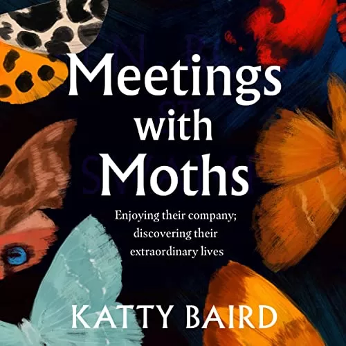 Meetings with Moths By Katty Baird