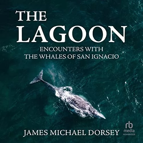 The Lagoon By James Michael Dorsey