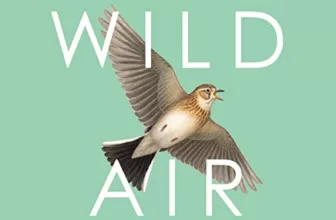 Wild Air By James Macdonald Lockhart