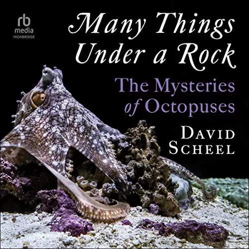 Many Things Under a Rock By David Scheel