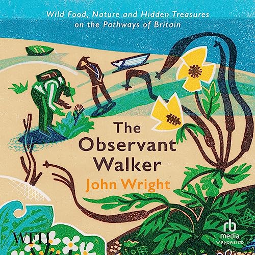 The Observant Walker By John Wright