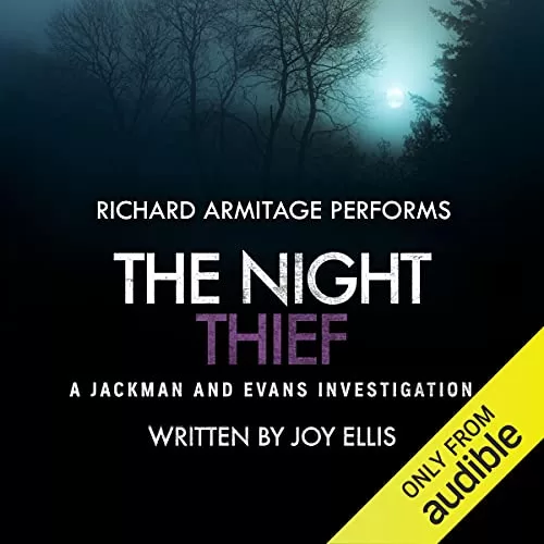 The Night Thief By Joy Ellis