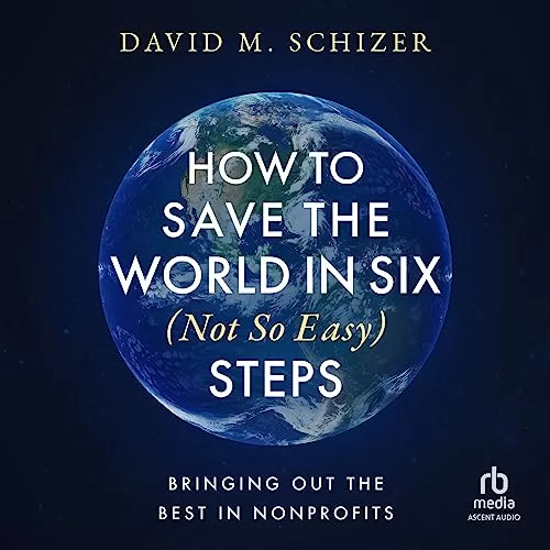 How to Save the World in Six (Not So Easy) Steps By David M. Schizer