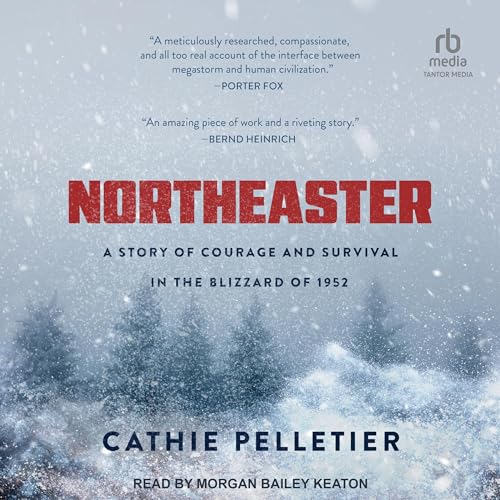 Northeaster By Cathie Pelletier