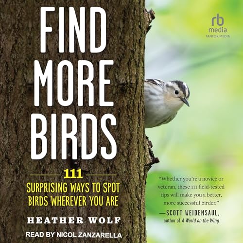 Find More Birds By Heather Wolf