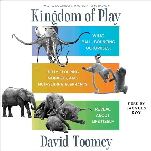 Kingdom of Play By David Toomey