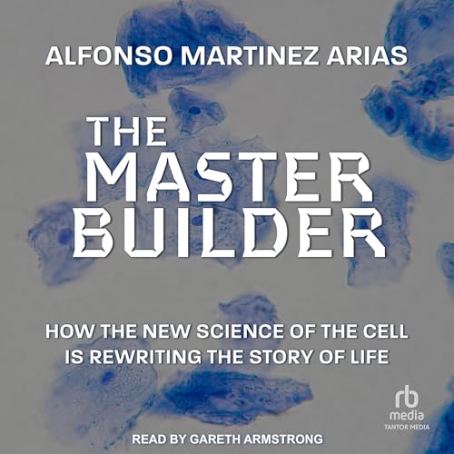 The Master Builder By Alfonso Martinez Arias