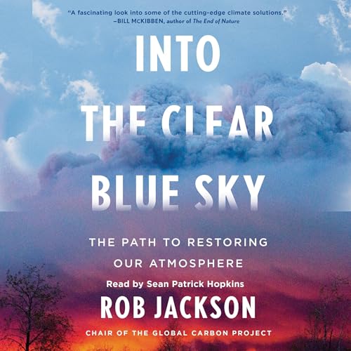 Into the Clear Blue Sky By Rob Jackson