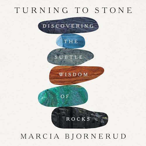 Turning to Stone By Marcia Bjornerud