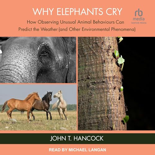 Why Elephants Cry By John T. Hancock